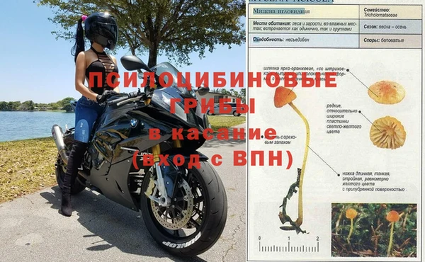 амф Магадан