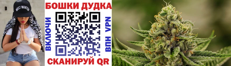 Канабис Amnesia  omg как зайти  Абакан  купить  цена 